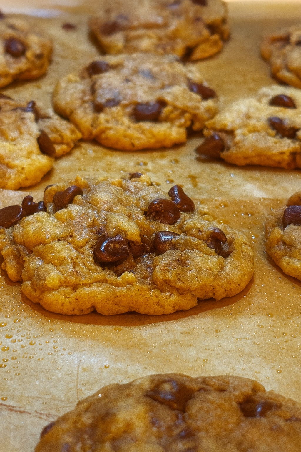 Chocolate Chip Cookie